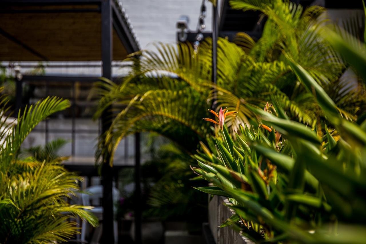 Alko Hotel Boutique Cali Zewnętrze zdjęcie